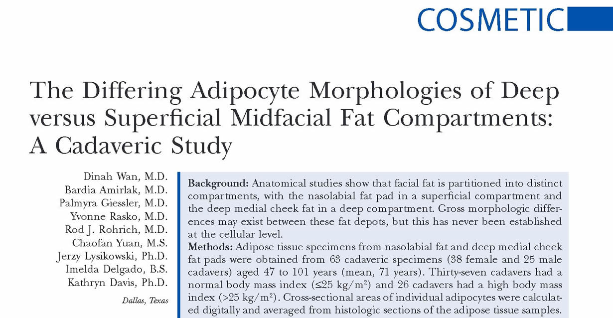 The differing adipocyte morphologies of deep versus superficial midfacial fat compartments: a cadaveric study